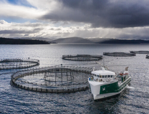 Salmon Aquaculture Research in Tasmania