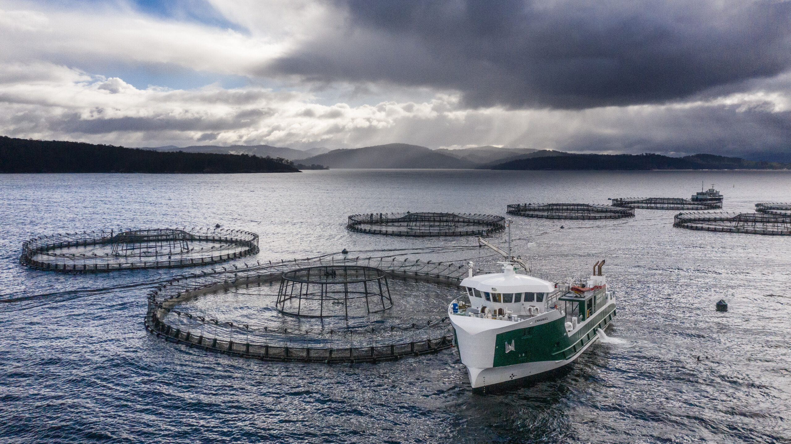 Salmon Aquaculture Research in Tasmania – Salmon Science